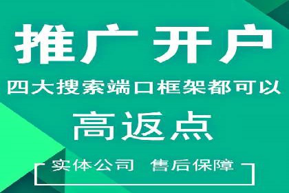 行业内的SEM竞价策略与效果对比案例